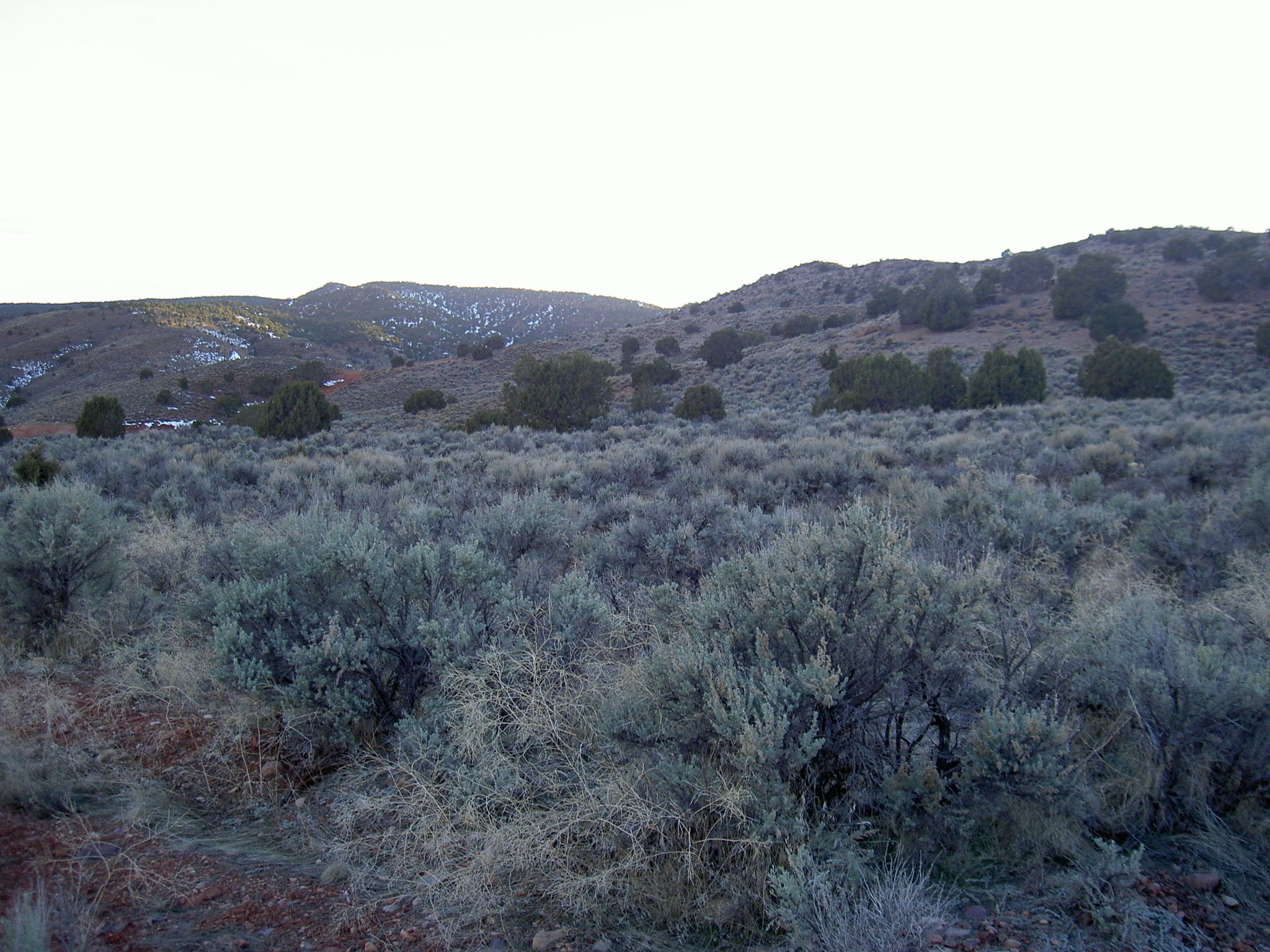 PAROWAN UTAH REAL ESTATE #30548