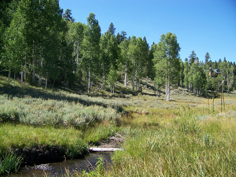 Development property in Southern Utah mountains